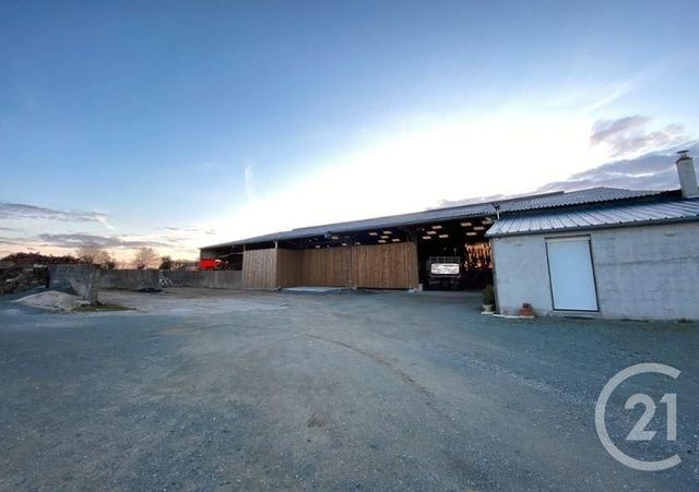 terrain à vendre - 4502.0 m2 - ST THOMAS DE COURCERIERS - 53 - PAYS-DE-LOIRE - Century 21 Dréano Immobilier