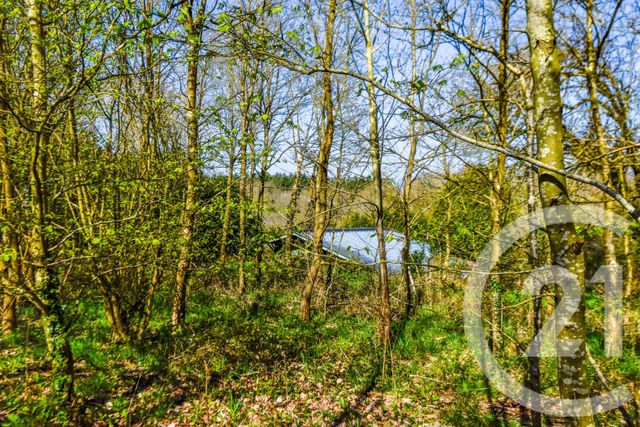 Afficher la photo en grand maison à vendre - 4 pièces - 88.37 m2 - RUILLE FROID FONDS - 53 - PAYS-DE-LOIRE - Century 21 Dréano Immobilier