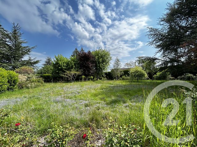 terrain à vendre - 1000.0 m2 - ENTRAMMES - 53 - PAYS-DE-LOIRE - Century 21 Dréano Immobilier