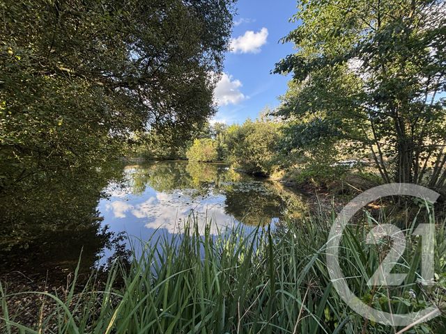 terrain à vendre - 15891.0 m2 - CHATEAU GONTIER - 53 - PAYS-DE-LOIRE - Century 21 Dréano Immobilier