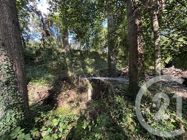 terrain à vendre - 15891.0 m2 - CHATEAU GONTIER - 53 - PAYS-DE-LOIRE - Century 21 Dréano Immobilier