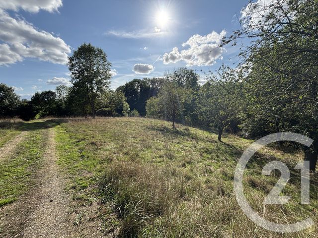 terrain à vendre - 15891.0 m2 - CHATEAU GONTIER - 53 - PAYS-DE-LOIRE - Century 21 Dréano Immobilier