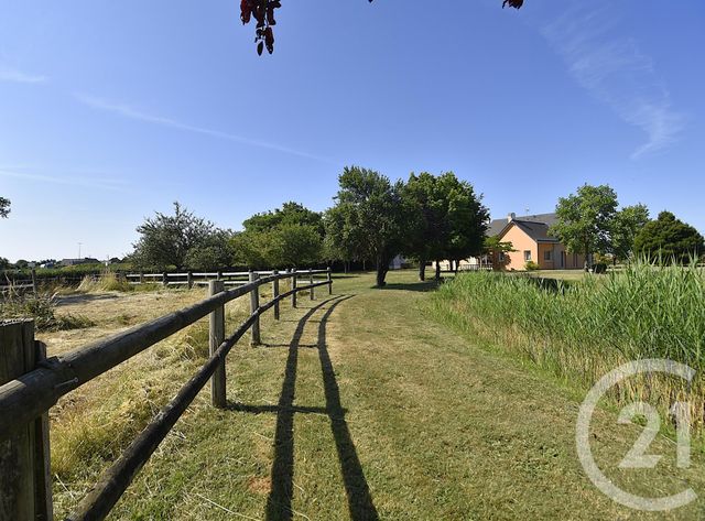 maison à vendre - 6 pièces - 220.0 m2 - VAIGES - 53 - PAYS-DE-LOIRE - Century 21 Dréano Immobilier