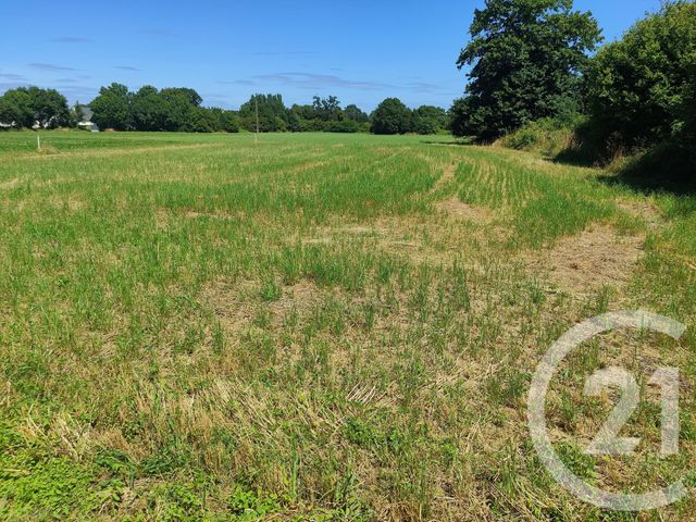 terrain à vendre - 2767.0 m2 - LA GUERCHE DE BRETAGNE - 35 - BRETAGNE - Century 21 Dréano Immobilier