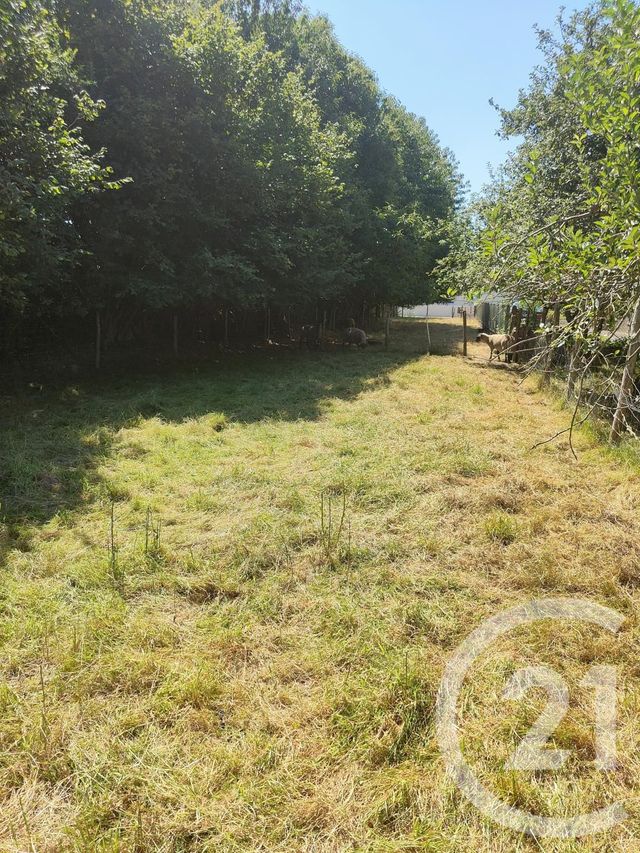 terrain à vendre - 2767.0 m2 - LA GUERCHE DE BRETAGNE - 35 - BRETAGNE - Century 21 Dréano Immobilier