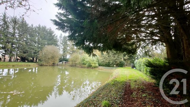 terrain à vendre - 3488.0 m2 - CUILLE - 53 - PAYS-DE-LOIRE - Century 21 Dréano Immobilier