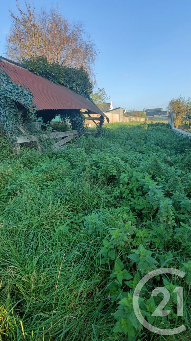 terrain à vendre - 2620.0 m2 - LA GUERCHE DE BRETAGNE - 35 - BRETAGNE - Century 21 Dréano Immobilier