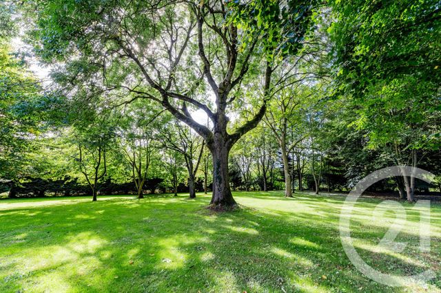 maison à vendre - 10 pièces - 283.0 m2 - ARGENTRE DU PLESSIS - 35 - BRETAGNE - Century 21 Dréano Immobilier