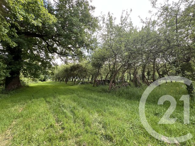 maison à vendre - 8 pièces - 350.0 m2 - COSSE LE VIVIEN - 53 - PAYS-DE-LOIRE - Century 21 Dréano Immobilier