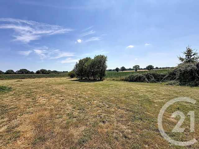 maison à vendre - 6 pièces - 251.0 m2 - LA BIGOTTIERE - 53 - PAYS-DE-LOIRE - Century 21 Dréano Immobilier
